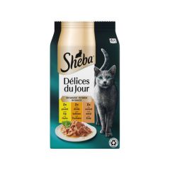 Sheba Délice du Jour Gevogelte 6x50g