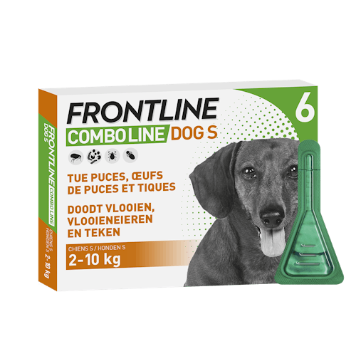 terrorisme warm Kosten Frontline Combo Line Hond S 2-10kg 6pip - Vlooien en teken Hond Frontline |  Pharmapets_NL