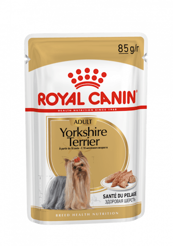 Royal Canin Yorkshire Terrier Adult Natvoer 12x 85g - Rasvoer Hond Royal Canin Breed Nutrition | Pharmapets_BE