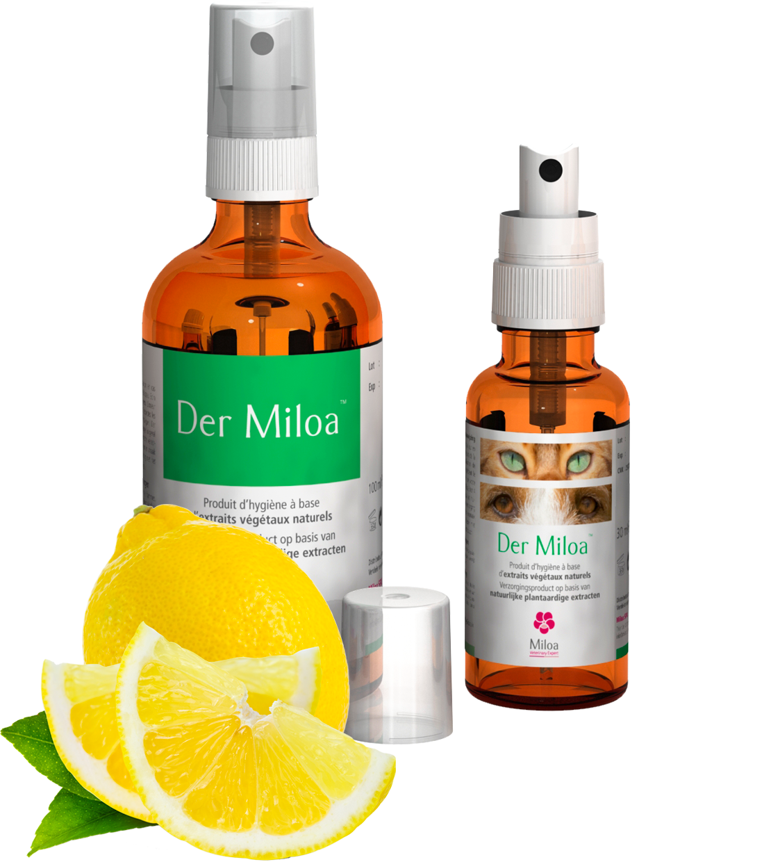 Der Miloa anti-irritation