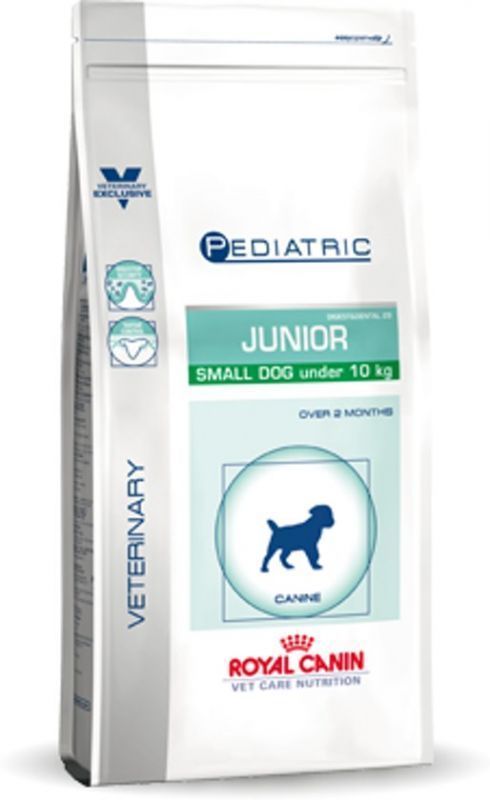 pediatric junior small dog
