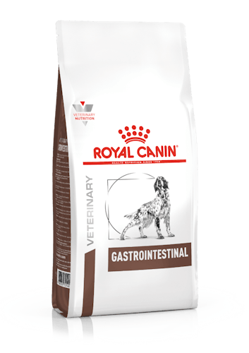 heerser Isoleren Ongewapend Royal Canin Gastro Intestinal - Hondenvoer - 15kg - Dieetvoer Hond Royal  Canin Veterinary Diet | Pharmapets_BE