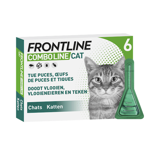 Frontline Combo Line Kat 6 Pip - en teken Kat Frontline | Pharmapets_NL