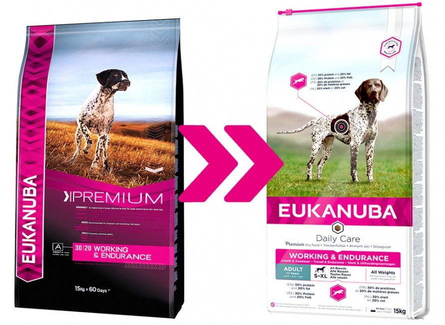 eukanuba endurance
