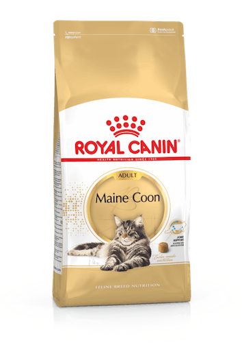Royal Canin Maine Coon 31 - Kattenvoer - 10kg - Rasvoer Kat Royal Canin Breed Nutrition Pharmapets_NL