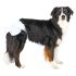 Trixie Couches Pour Chiens Femelles Xl 12 Pcs