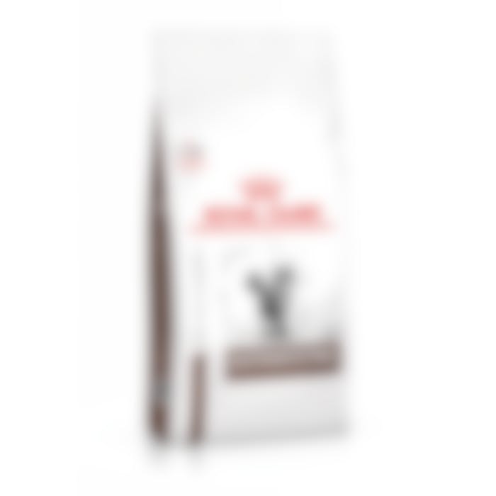 Royal Canin Gastro Intestinal pour chat 2kg