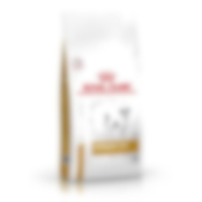 Royal Canin Urinary S/O Small Dog pour chien 8kg