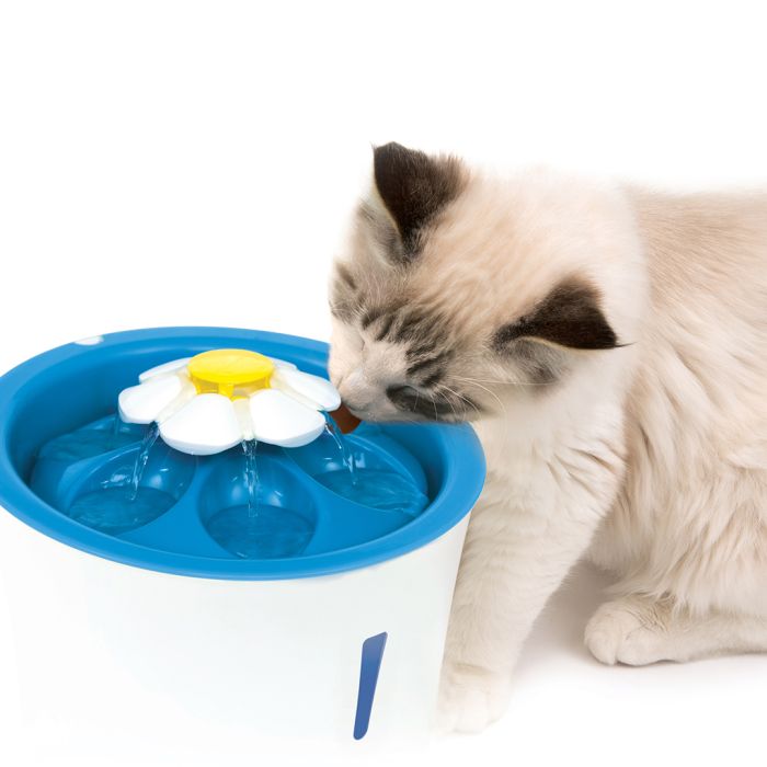 Fontaine à eau lumineuse Valentine pour chats - Petits Compagnons