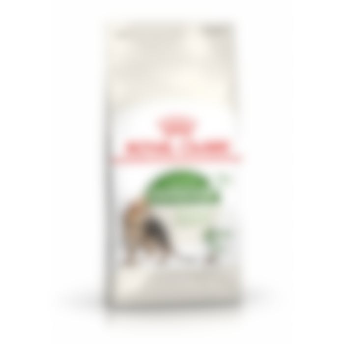 Royal Canin Outdoor 7+ Pour Chat 2kg