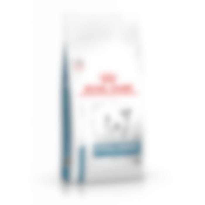 Royal Canin Hypoallergenic Small Dog pour chien 1kg