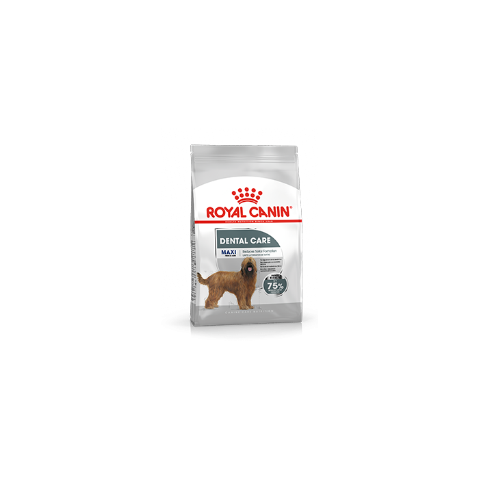leiderschap Delegatie modder Royal Canin Dental Care Maxi Hond 9kg - Droogvoer Hond - Hondenvoer Royal  Canin Care Nutrition | Pharmapets