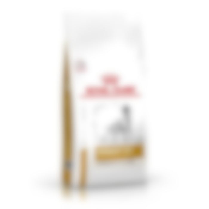 Royal Canin Urinary S/O Moderare Calorie pour chien 12kg