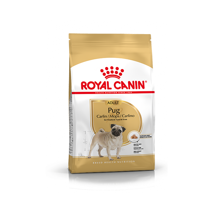 rammelaar geest Daarbij Royal Canin Pug (mopshond) Adult Hond 7,5kg - Droogvoer Hond - Hondenvoer  Royal Canin Breed Nutrition | Pharmapets