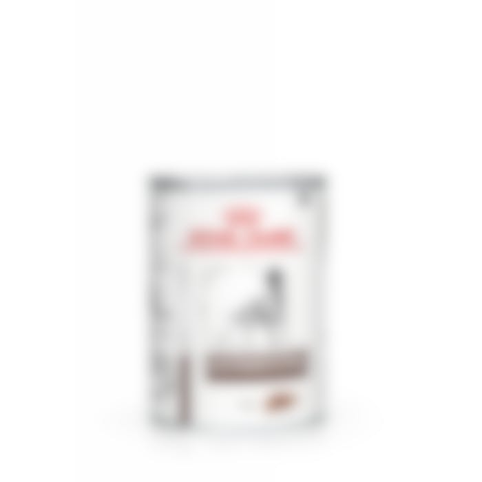 Royal Canin Gastro Intestinal Pour Chien 400g