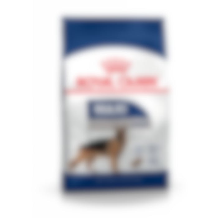Royal Canin Chien Maxi Adult - 15Kg