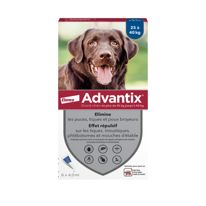 navigatie Bevriezen Reusachtig Advantix grote honden 25-40kg 6 pipetten - Spot-on behandeling Hond -  Anti-parasiet Advantix | Pharmapets