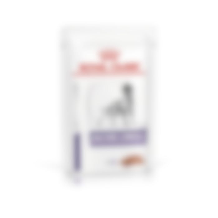 Royal Canin Chien Mature Consult Dog - 12 Sachets 85g (mousse)
