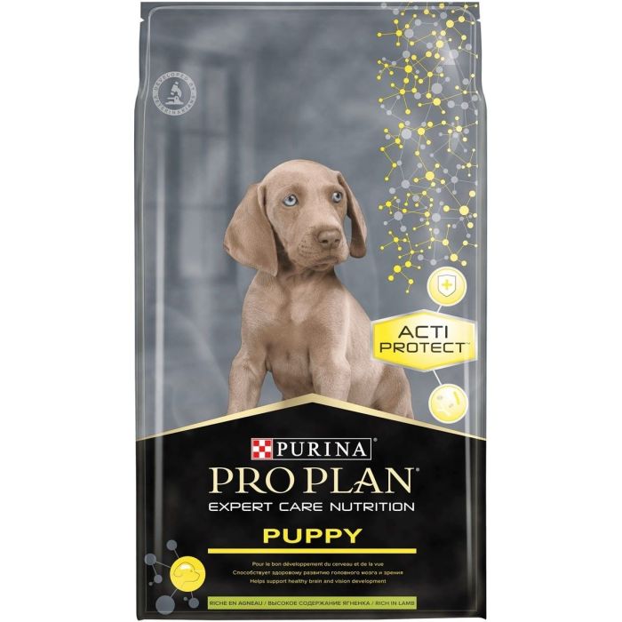 best dry dog food for chicken allergy