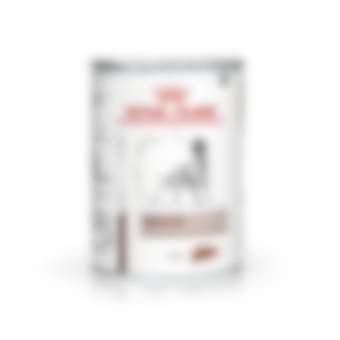 Royal Canin Hepatic pour chien 12x410g