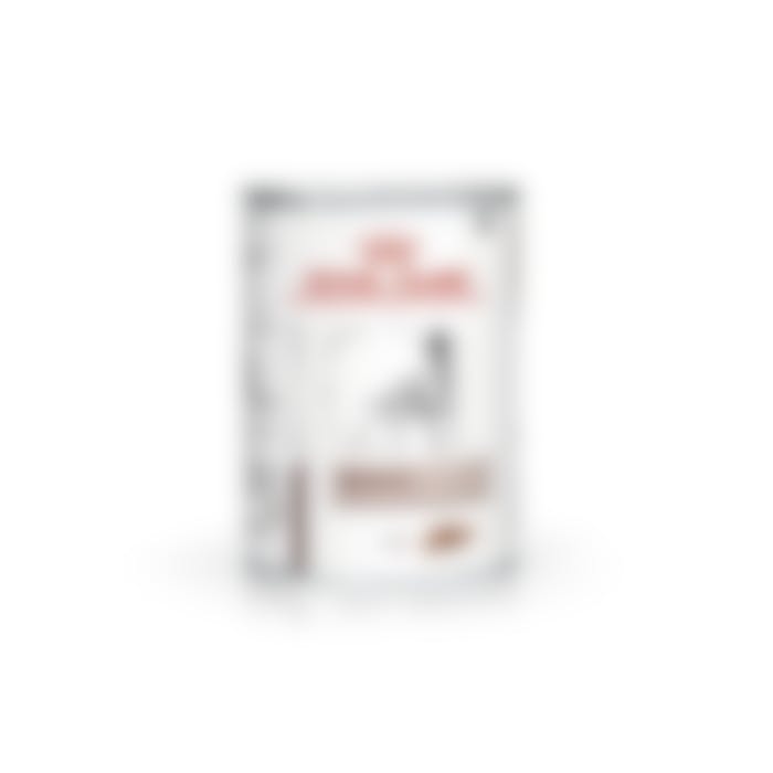 Royal Canin Hepatic Pour Chien 410g