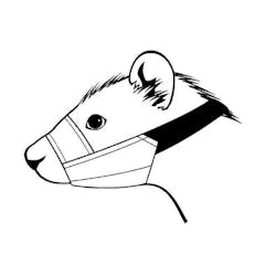 MUSELIERE POUR FURET