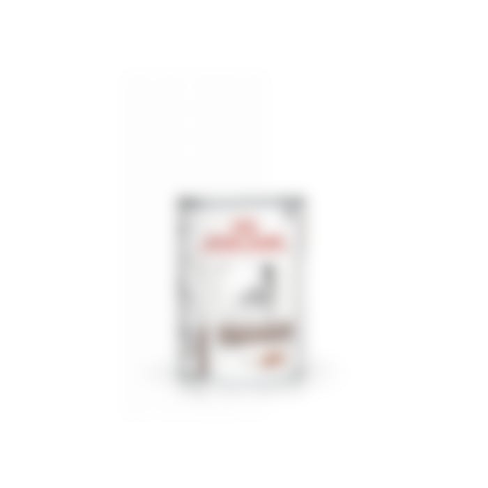 Royal Canin Gastro Intestinal Low Fat Pour Chien 410g