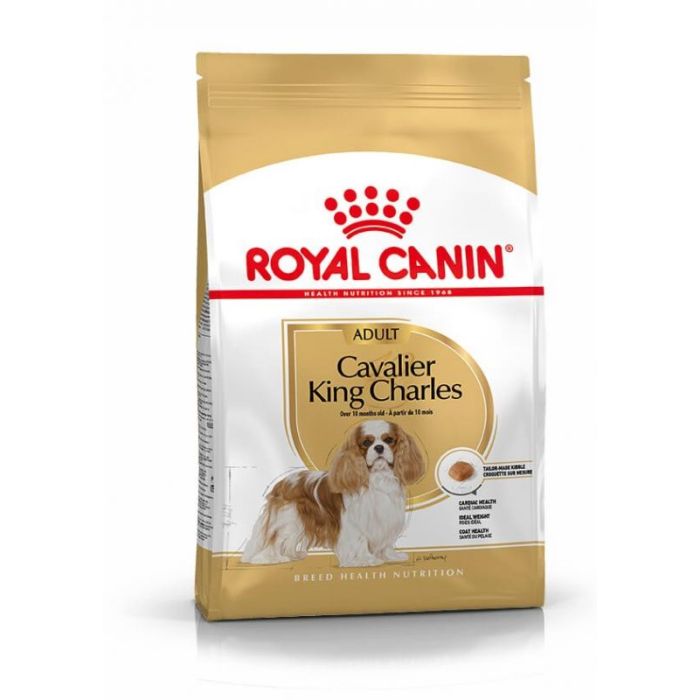 Glad minstens schoonmaken Royal Canin Cavalier King Charles Adult - Hondenvoer - 1,5 Kg - Droogvoer  Hond - Hondenvoer Royal Canin Breed Nutrition | Pharmapets