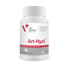 Art-Hyal 90 Comprimés