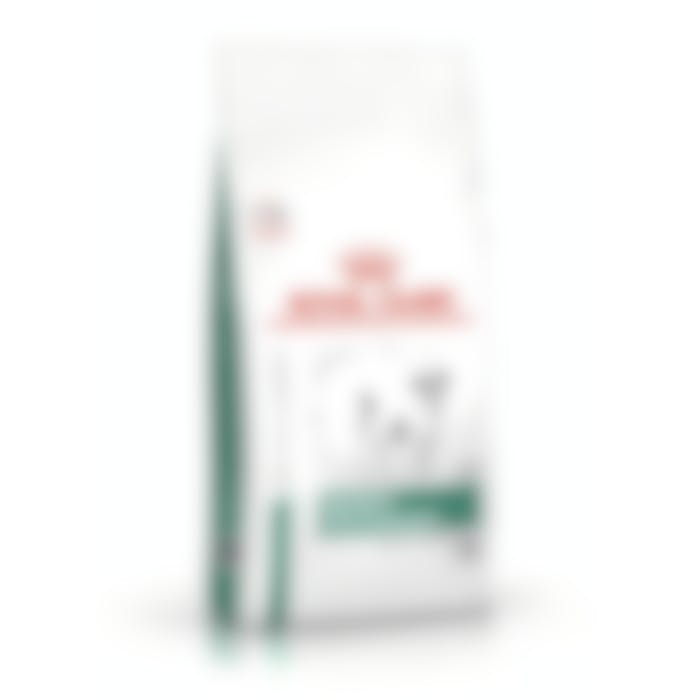 Royal Canin Satiety Small Dog pour chien 8kg