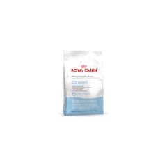 Royal Canin Queen 34 - Kattenvoer - 4kg