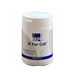 K for cat 60 gélules