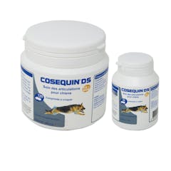 COSEQUIN DS (HA+MSM)