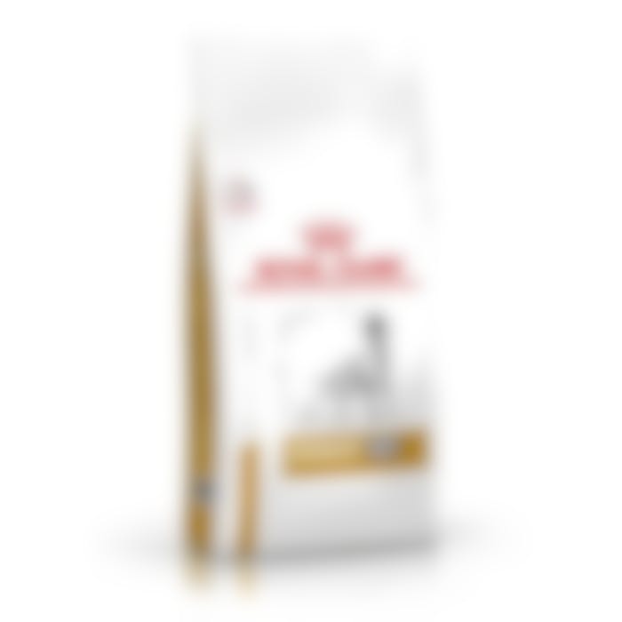 Royal Canin Urinary U/C Low Purine pour chien 14kg
