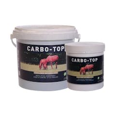 CARBO-TOP