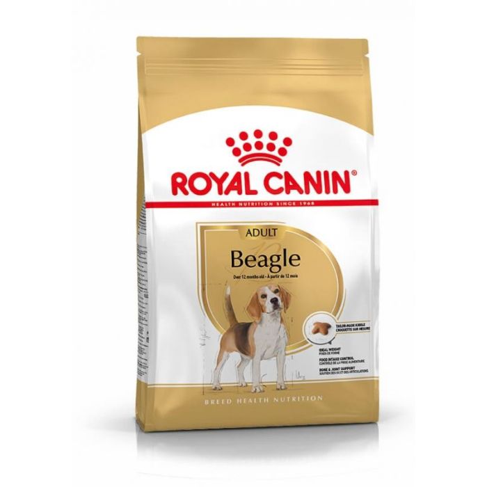 beagle nutrition