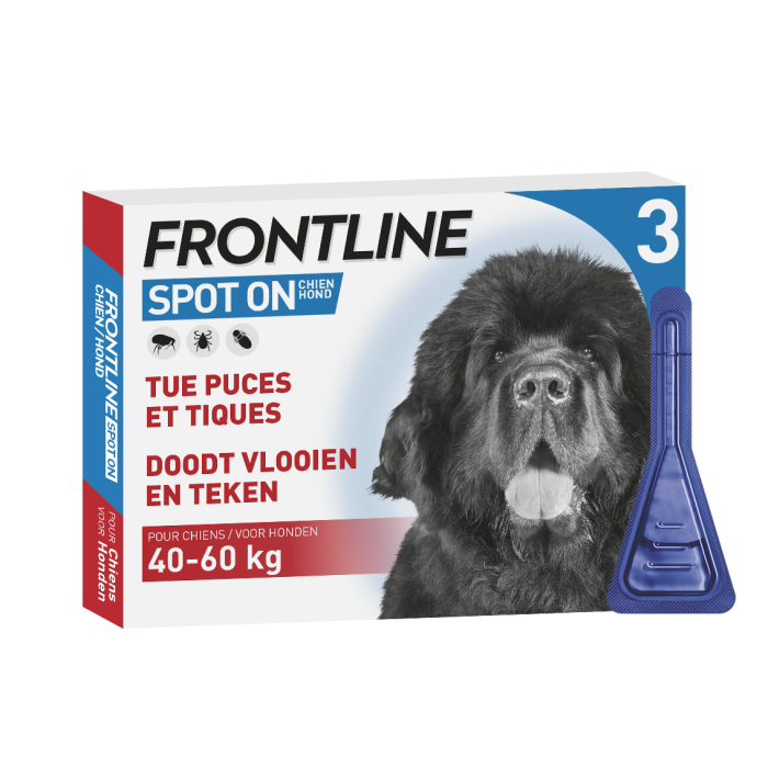 kwaad Voornaamwoord Afrikaanse Frontline Spot-on Hond 40-60kg 3pip - Spot-on behandeling Hond -  Anti-parasiet Frontline | Pharmapets