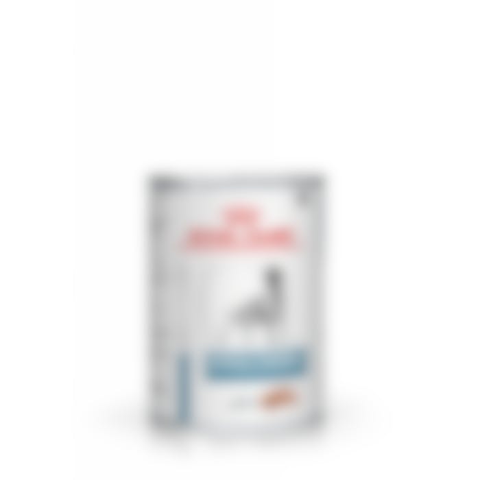 Royal Canin Hypoallergenic pour chien 12x400g