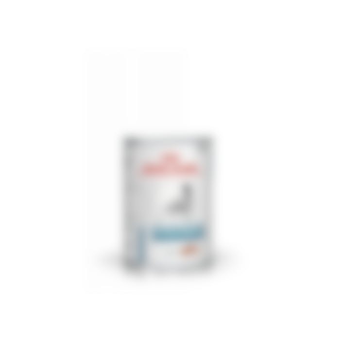 Royal Canin Hypoallergenic Pour Chien  400g