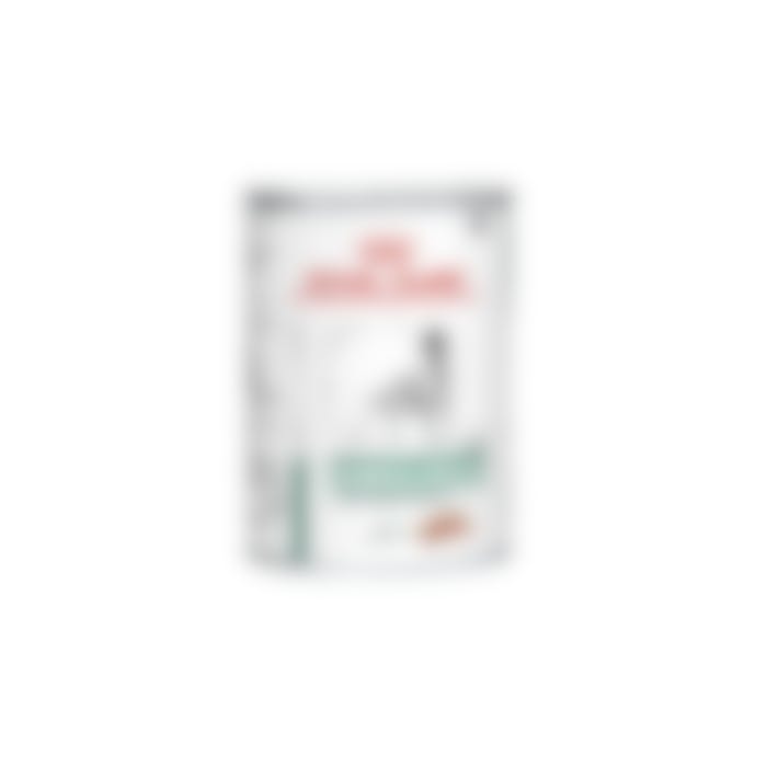 Royal Canin Diabetic Special Low Carbohydrate - Hondenvoer in Blik – 12x 410g