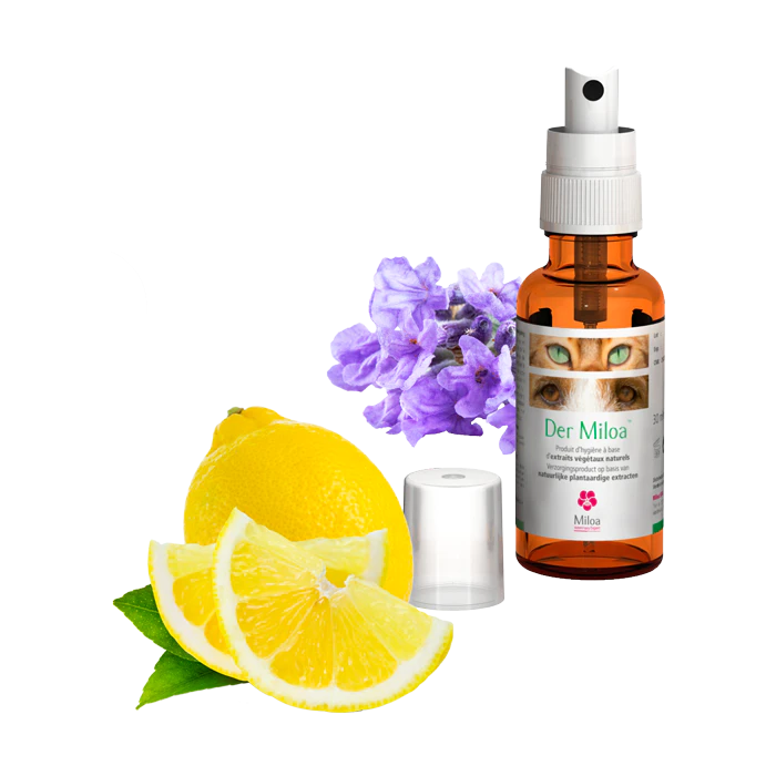 child product image