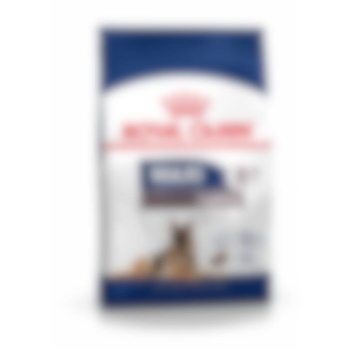 Royal Canin Chien Maxi Ageing 8+  15Kg