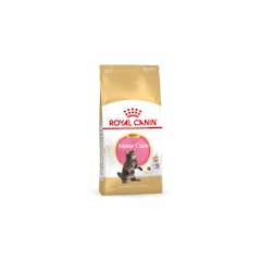 Royal Canin Maine Coon Kitten - 10Kg