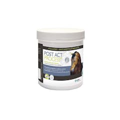 POST ACT PROCESS CHEVAL 500g