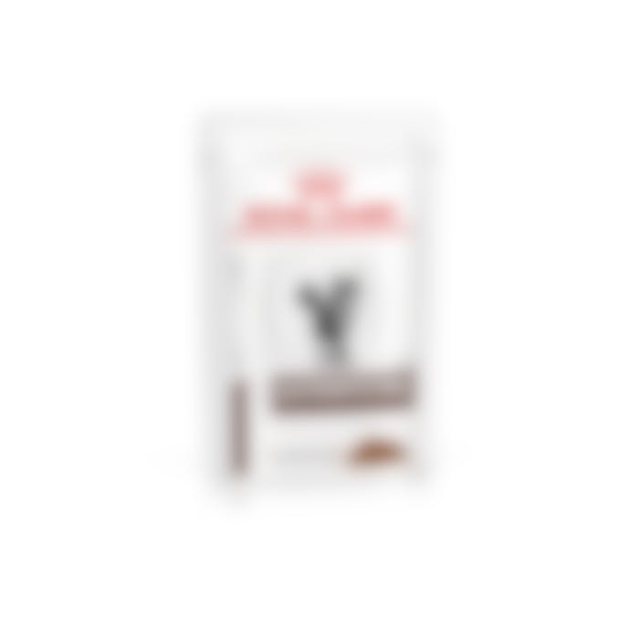 Royal Canin Gastro Intestinal pour chat 12x85g