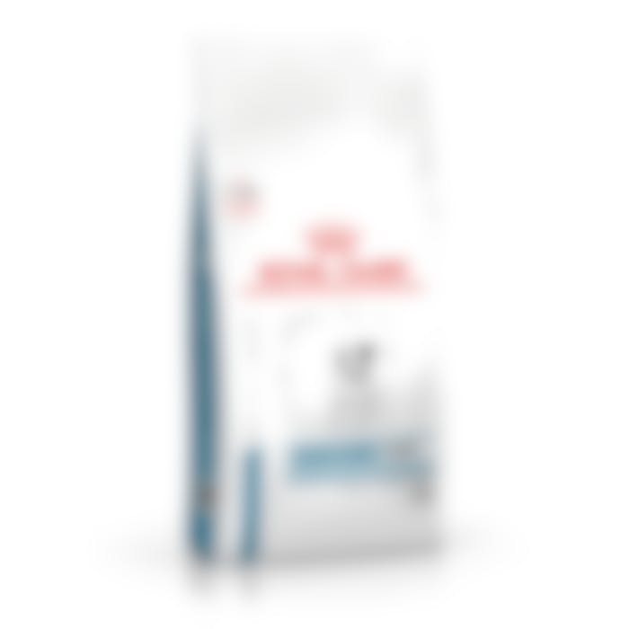 Royal Canin Skin Care Puppy Small Dog - 2Kg