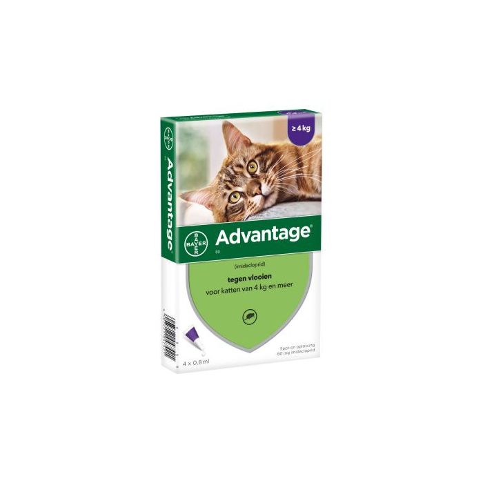 Advantage 80 4 - Spot-on behandeling Kat Anti-parasiet Advantage Pharmapets