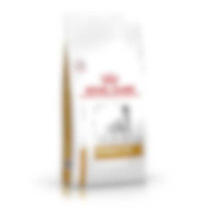 Royal Canin Urinary S/O pour chien 13kg
