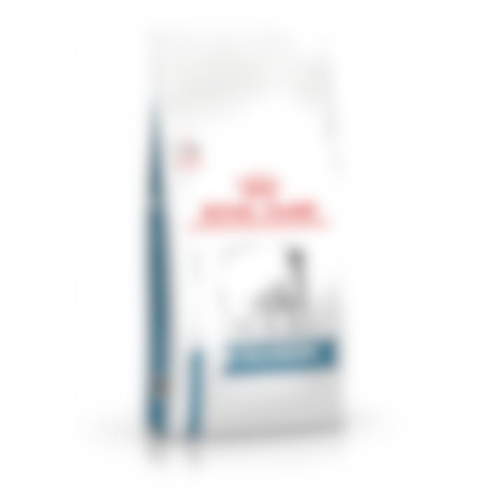 Royal Canin Anallergenic pour chien 3kg