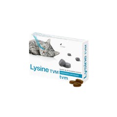 Lysine